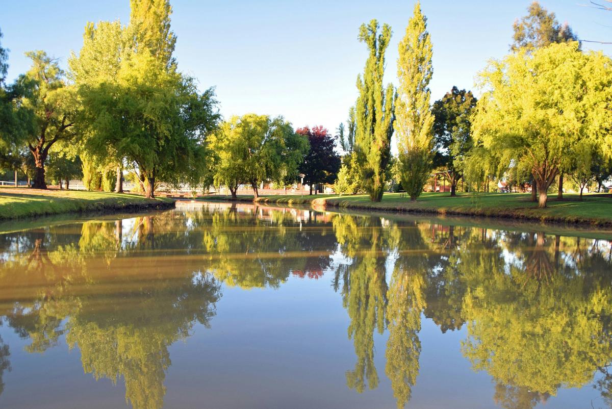 Brookong Lagoon, Lockhart Caravan Park