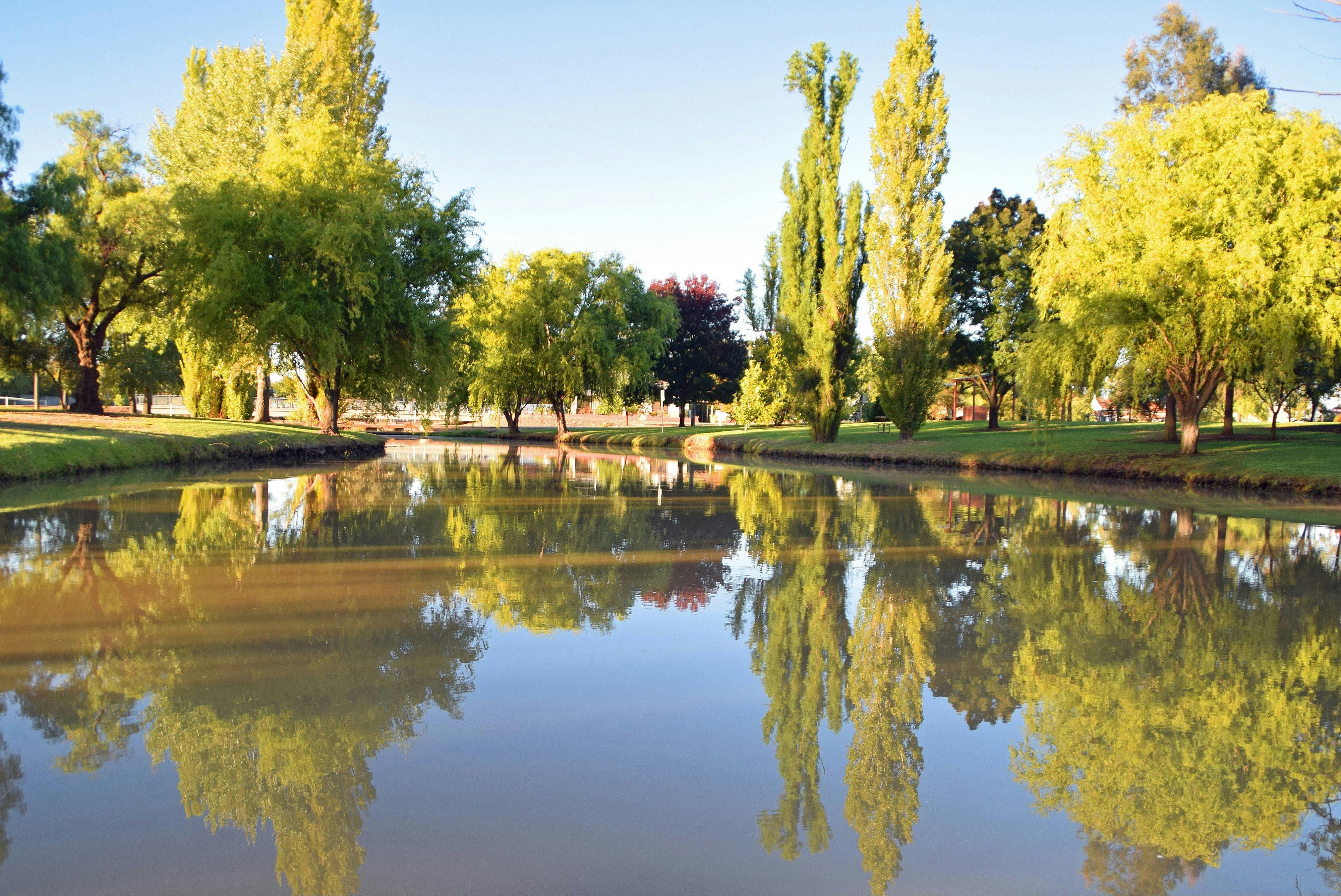 Brookong Lagoon, Lockhart Caravan Park