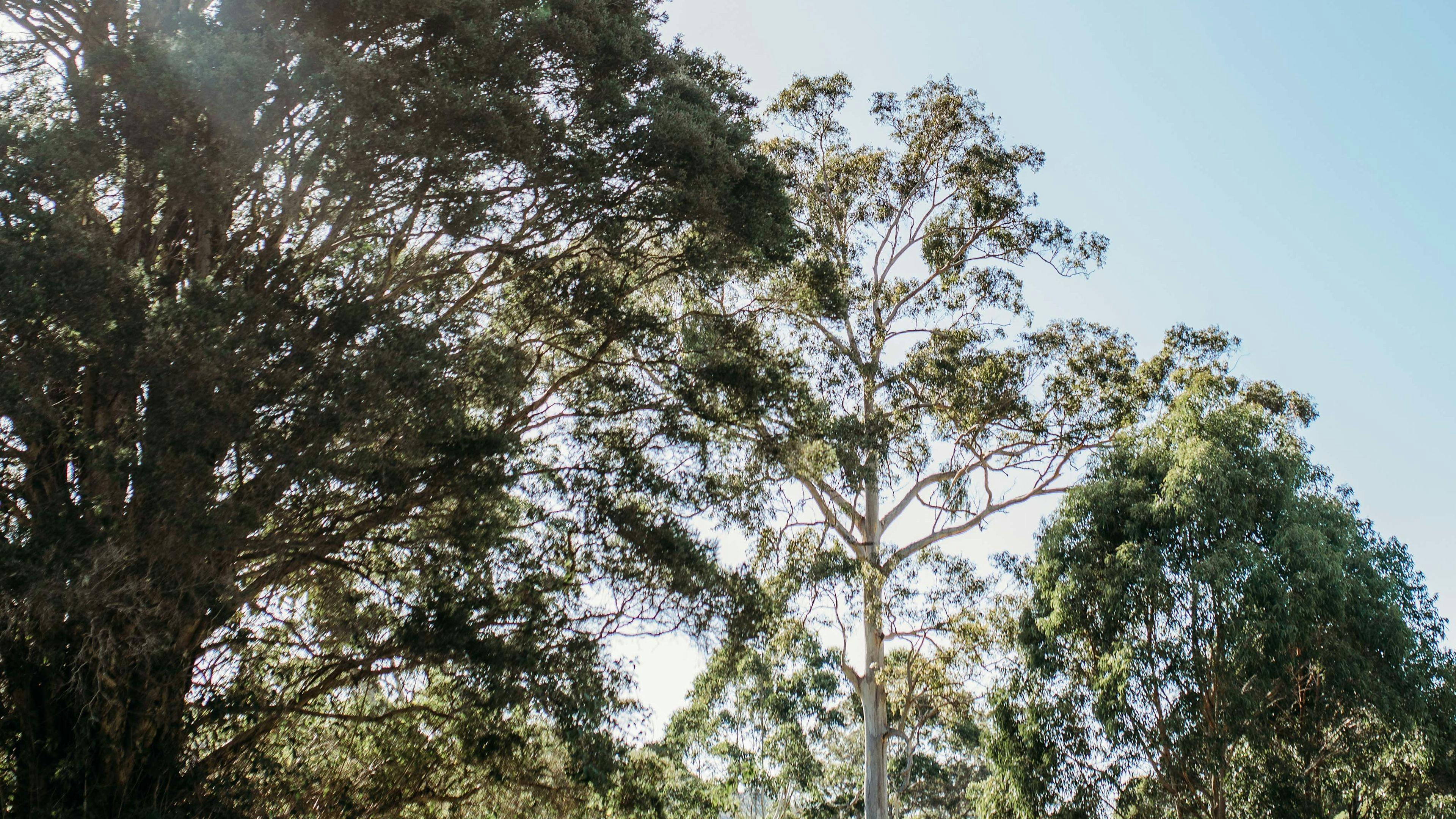 Mimi Valley, Krambach