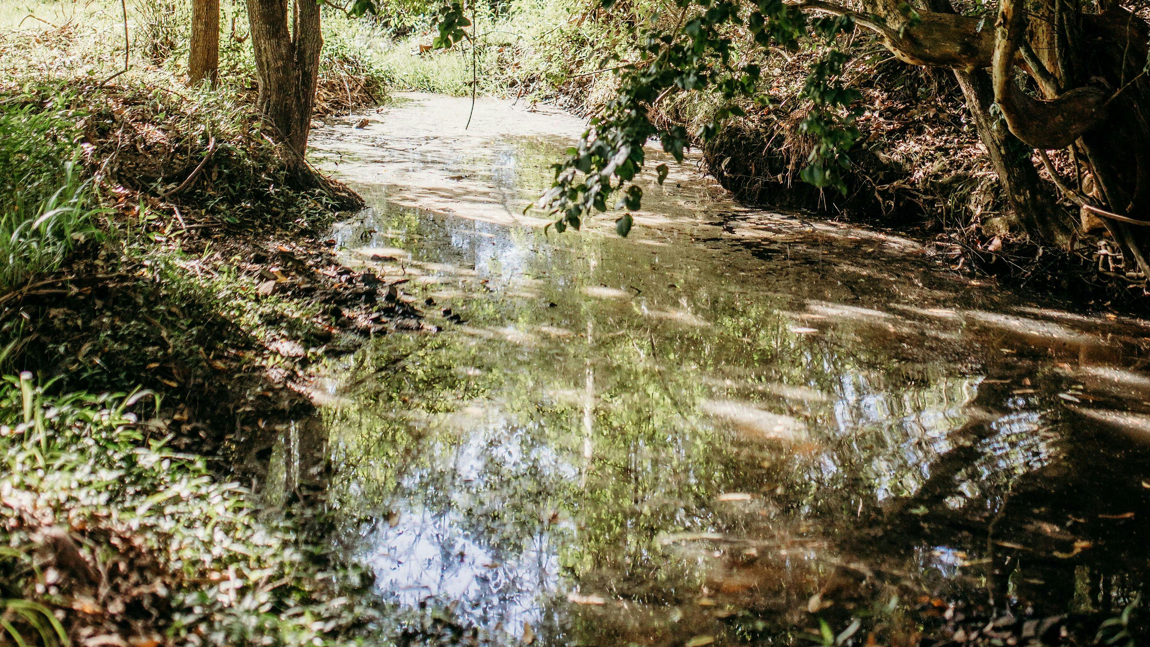 Mimi Valley, Krambach