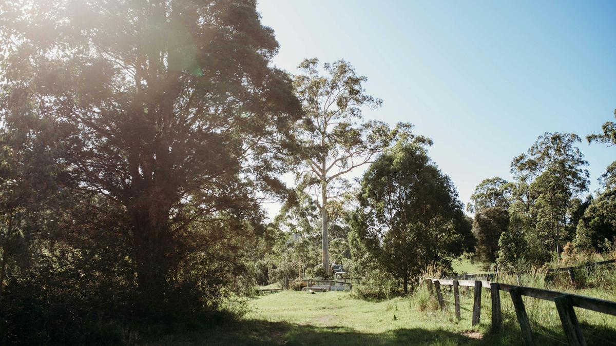 The road leading from the main camping area to the property entrance 
