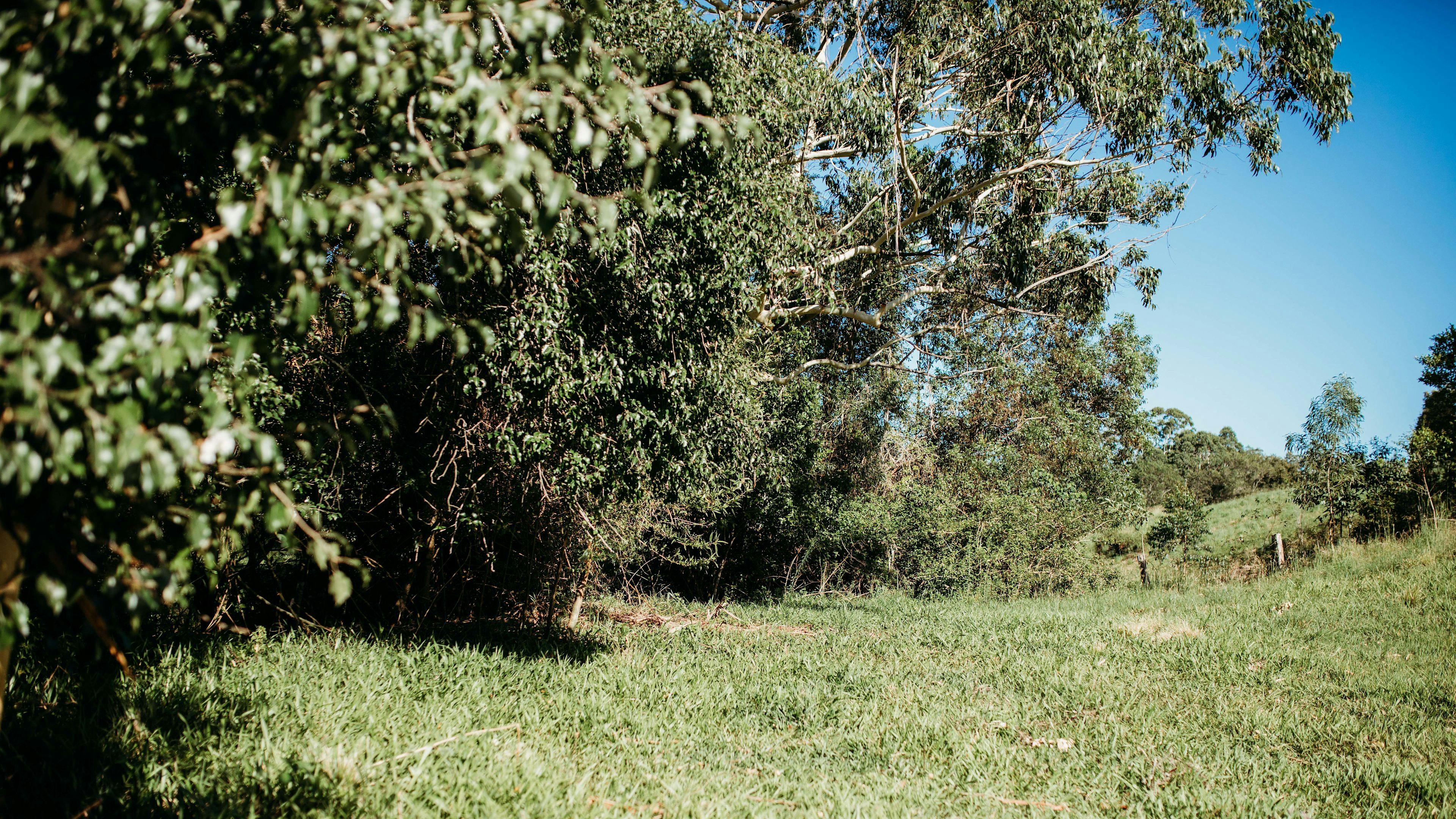 Flat area available for camping. 4x4 access only