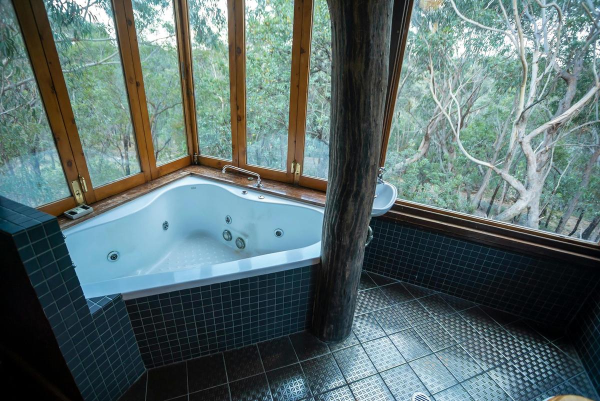 Wollemi House Blue Mountains