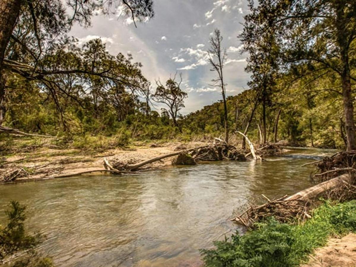 Lowells Flat campground, Brindabella National Park. Photo: Murray van der Veer/NSW Government
