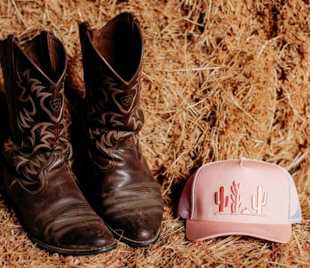 Dust and Bullets Western