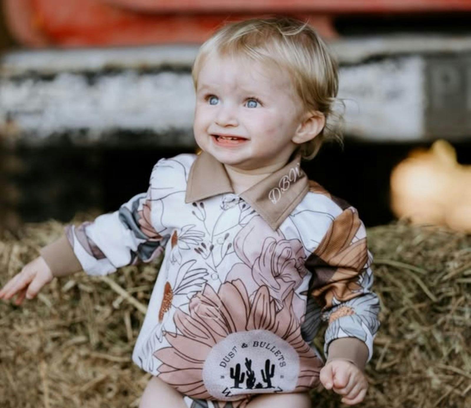 Dust and Bullets Western