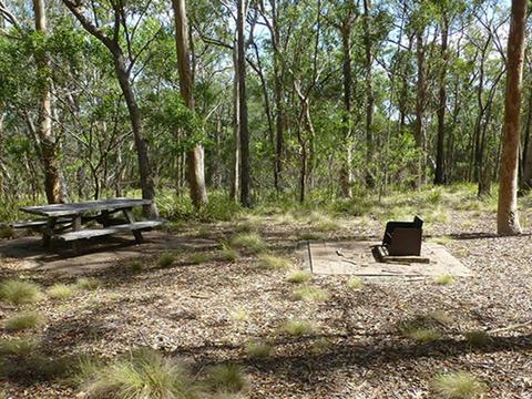 Long Point campground and picnic area