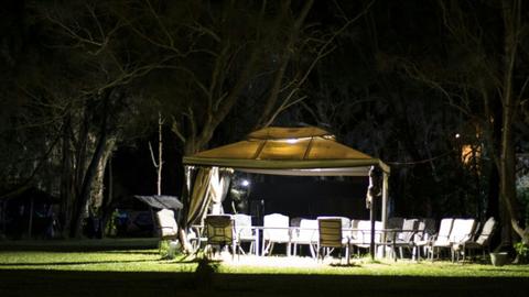 Melaleuca at One Mile