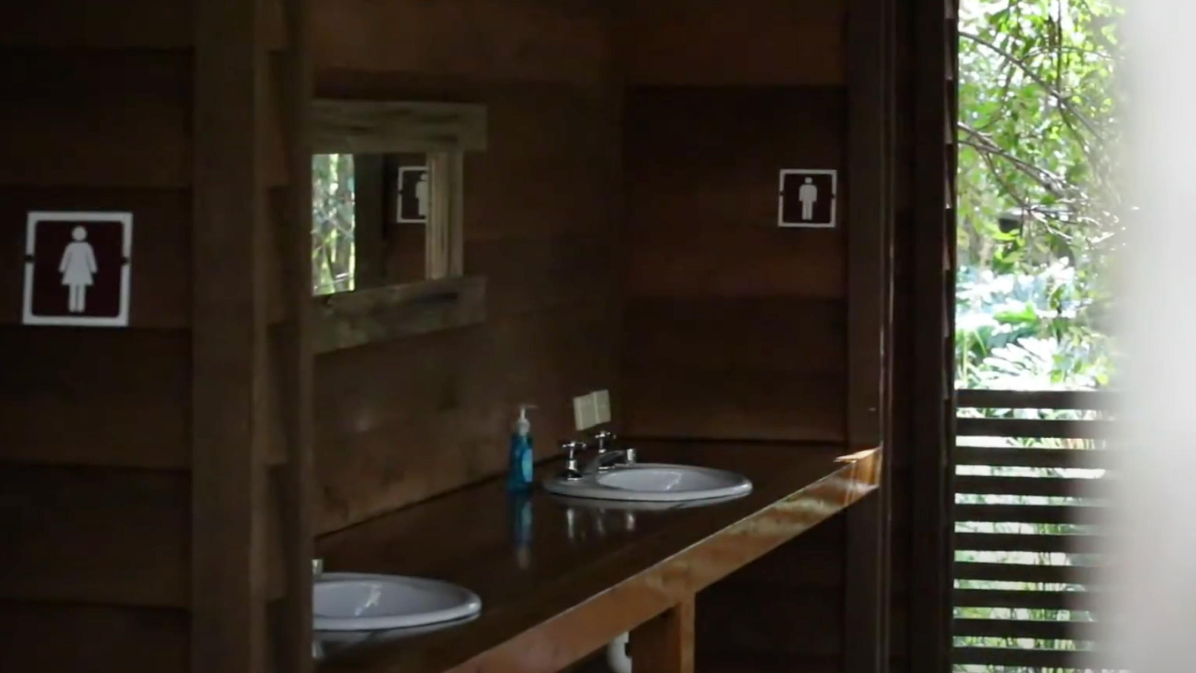 Melaleuca at One Mile