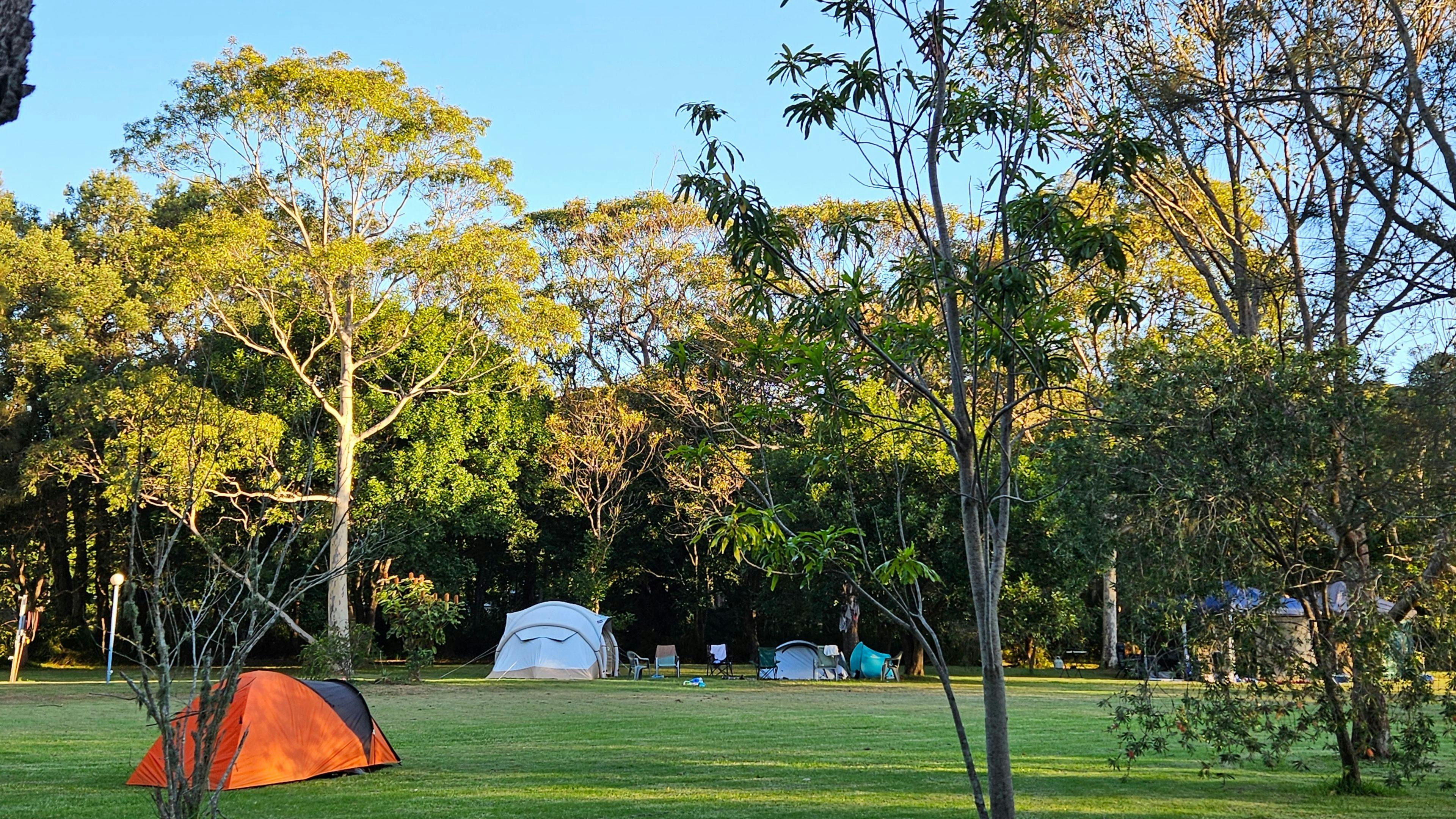 Melaleuca at One Mile