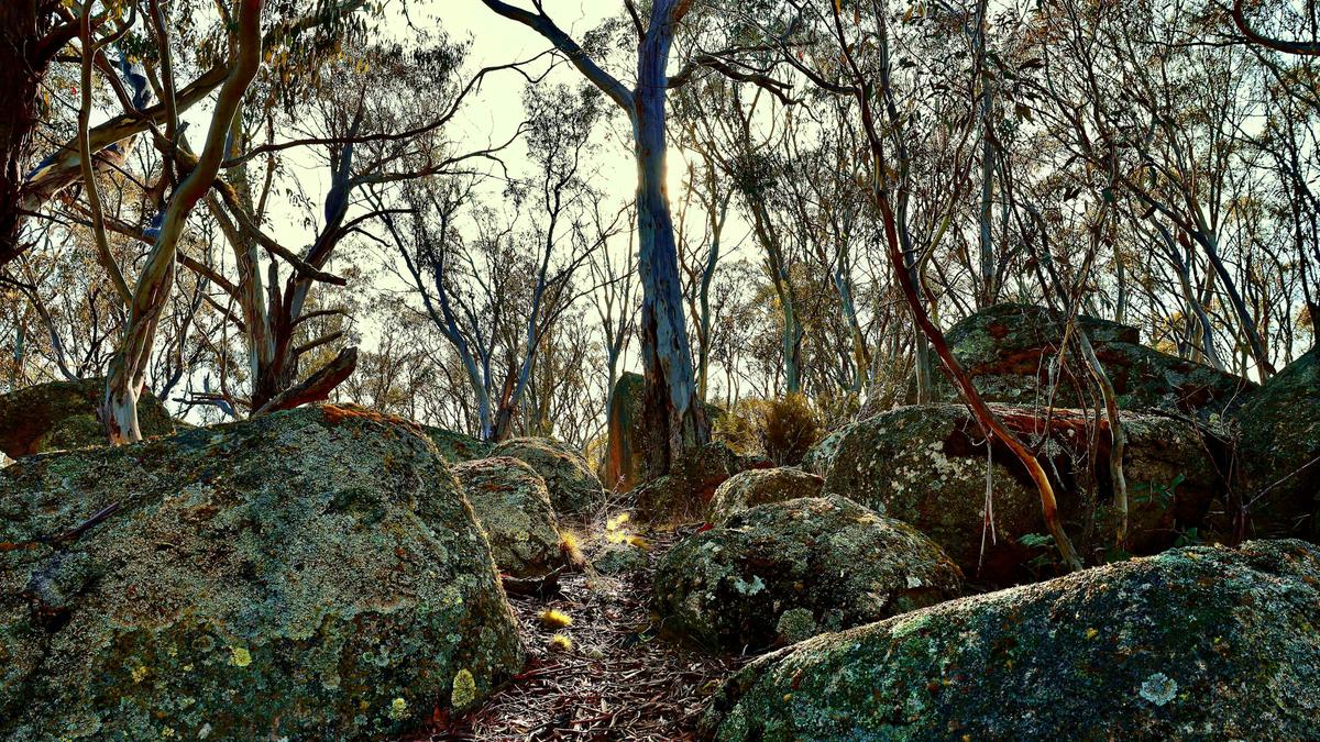 Kybeyan  Retreat