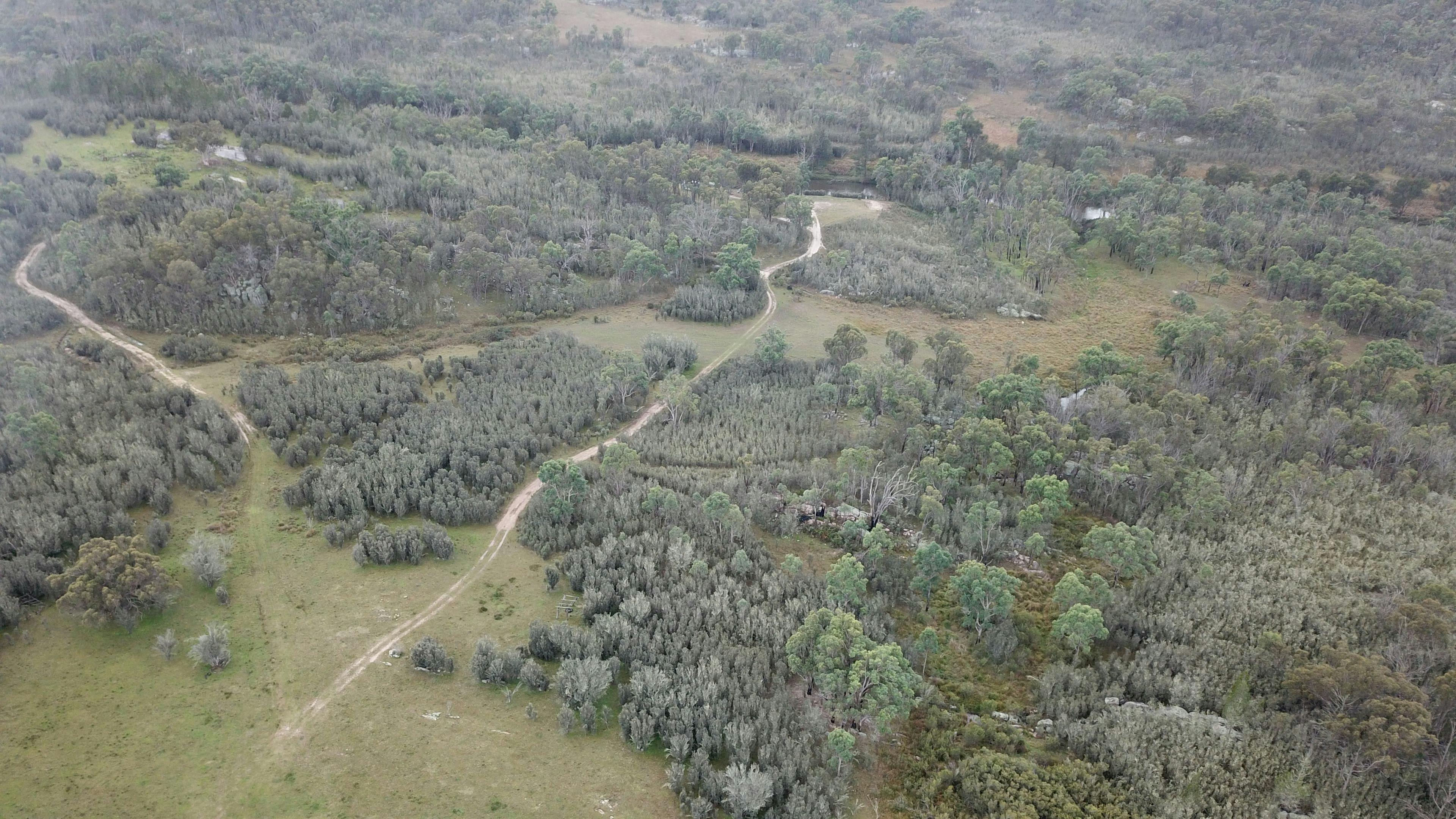 Kingfisher's Hut Nature Retreat