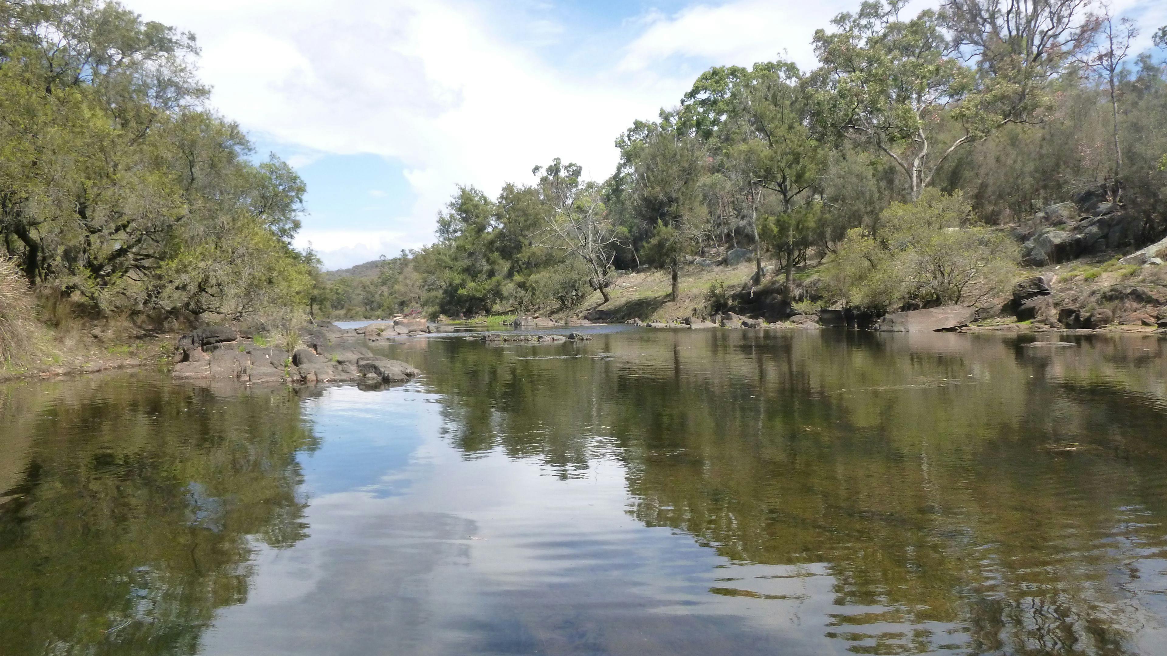Kingfisher's Hut Nature Retreat