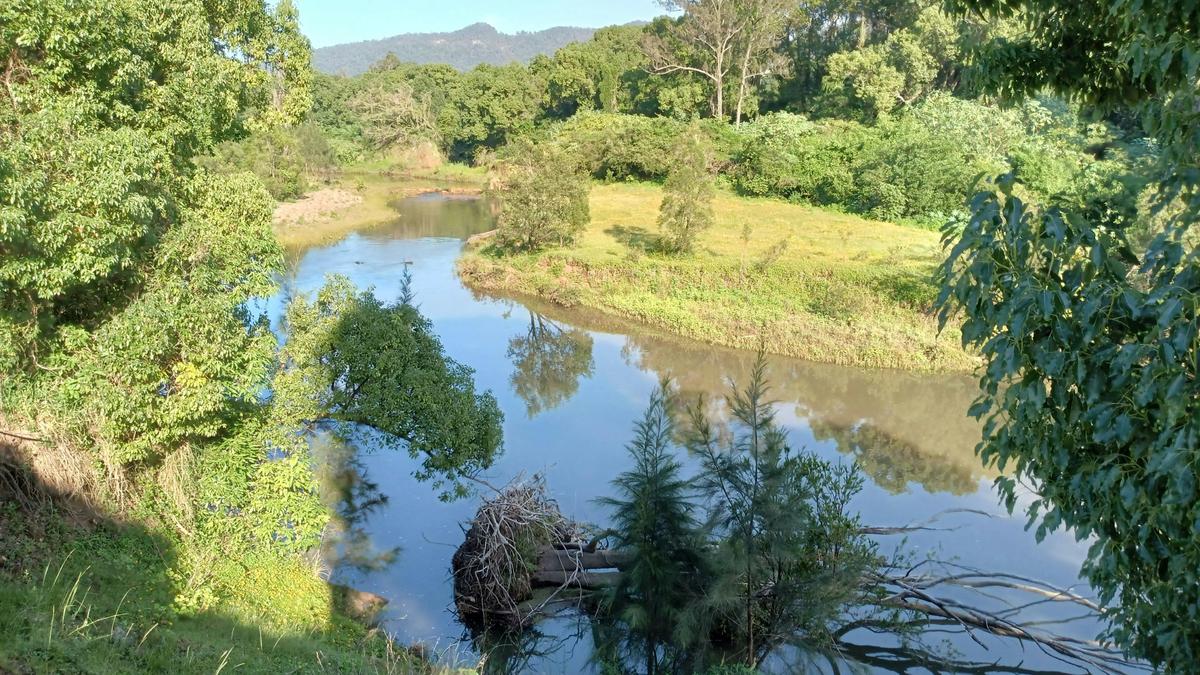 McKenzies Mountain, Wollumbin
