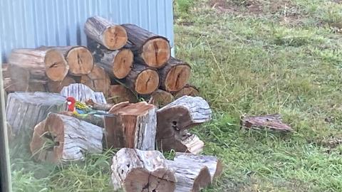 Knownrock Farm, Caffrey's Flat