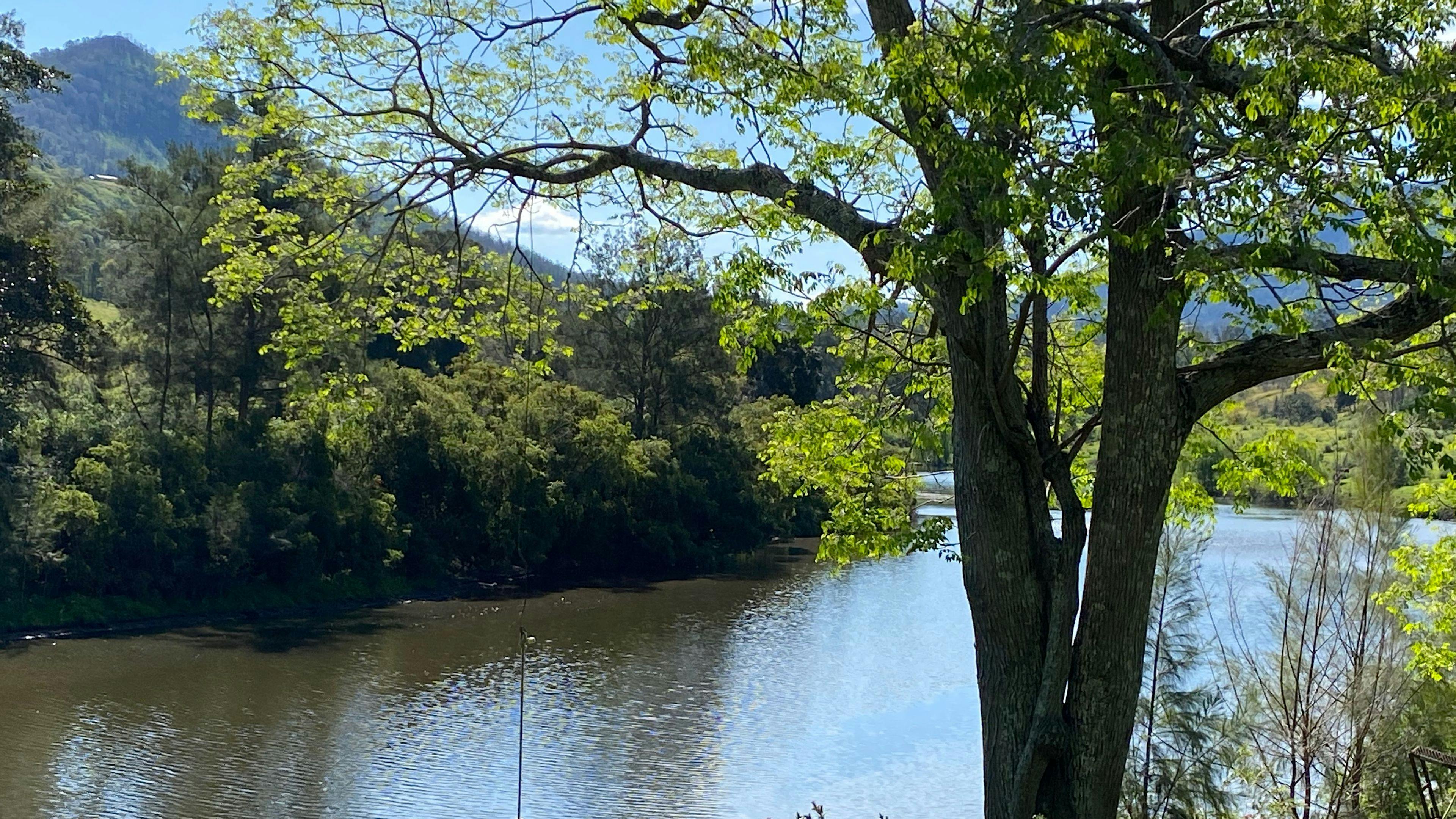 Knownrock Farm, Caffrey's Flat