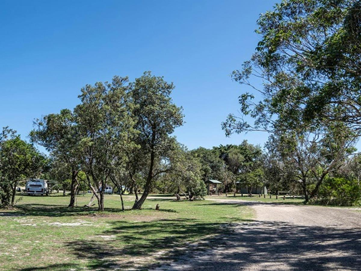 Kylies Beach campground with some campervans in the distance, Crowdy Bay National Park. Photo: Rob