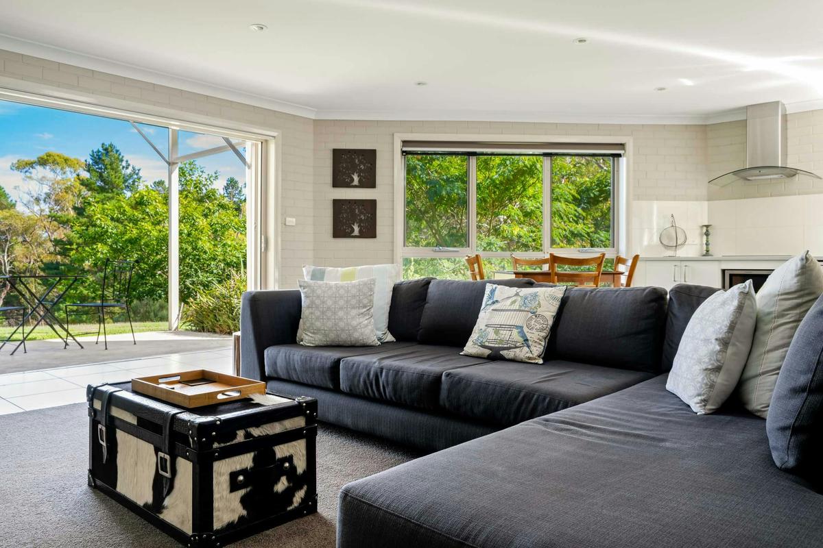 Lounge room looking towards dining and large windows and sliding doors to the patio and garden