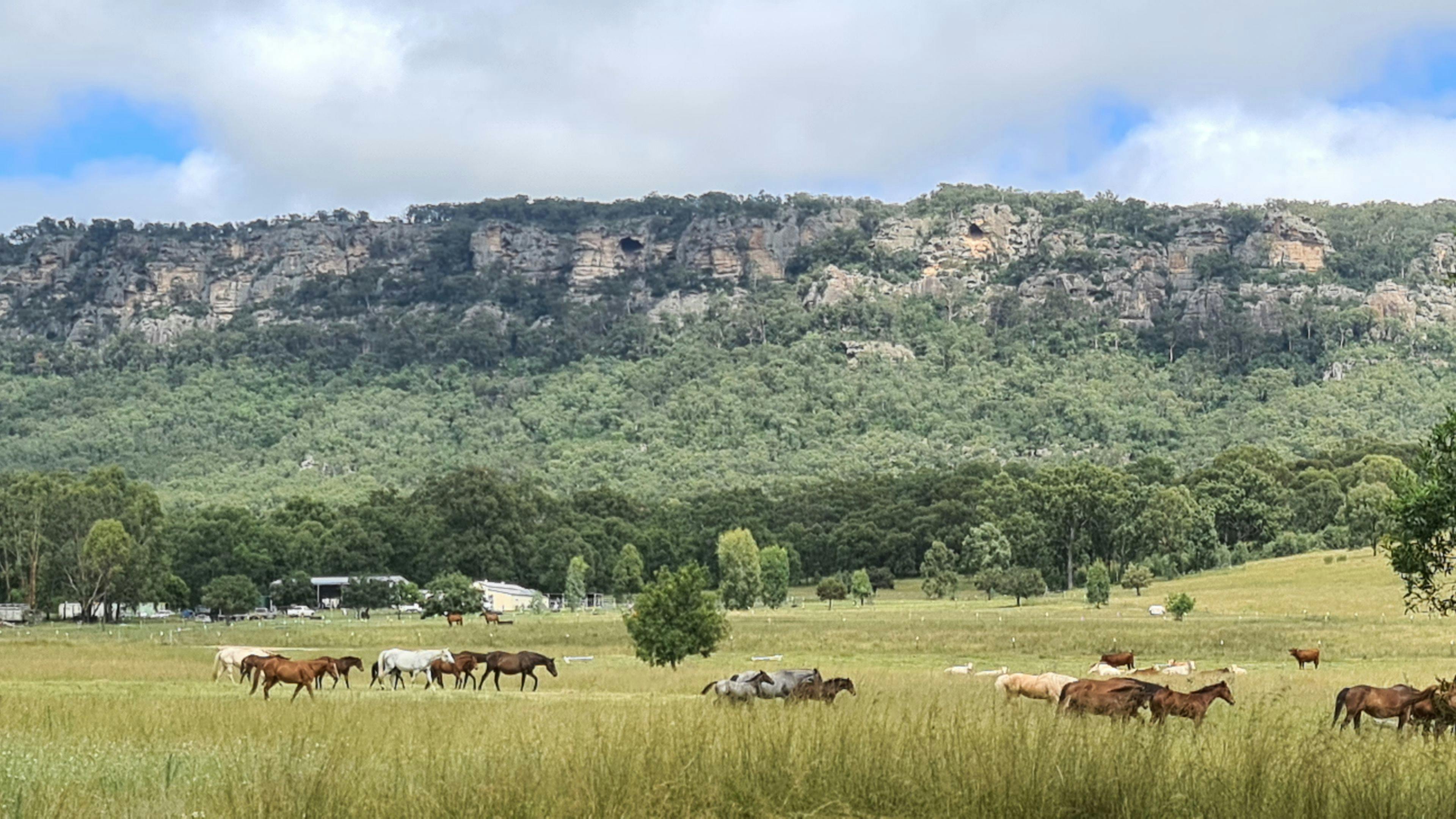 Maiden Jewel Camping Wingen