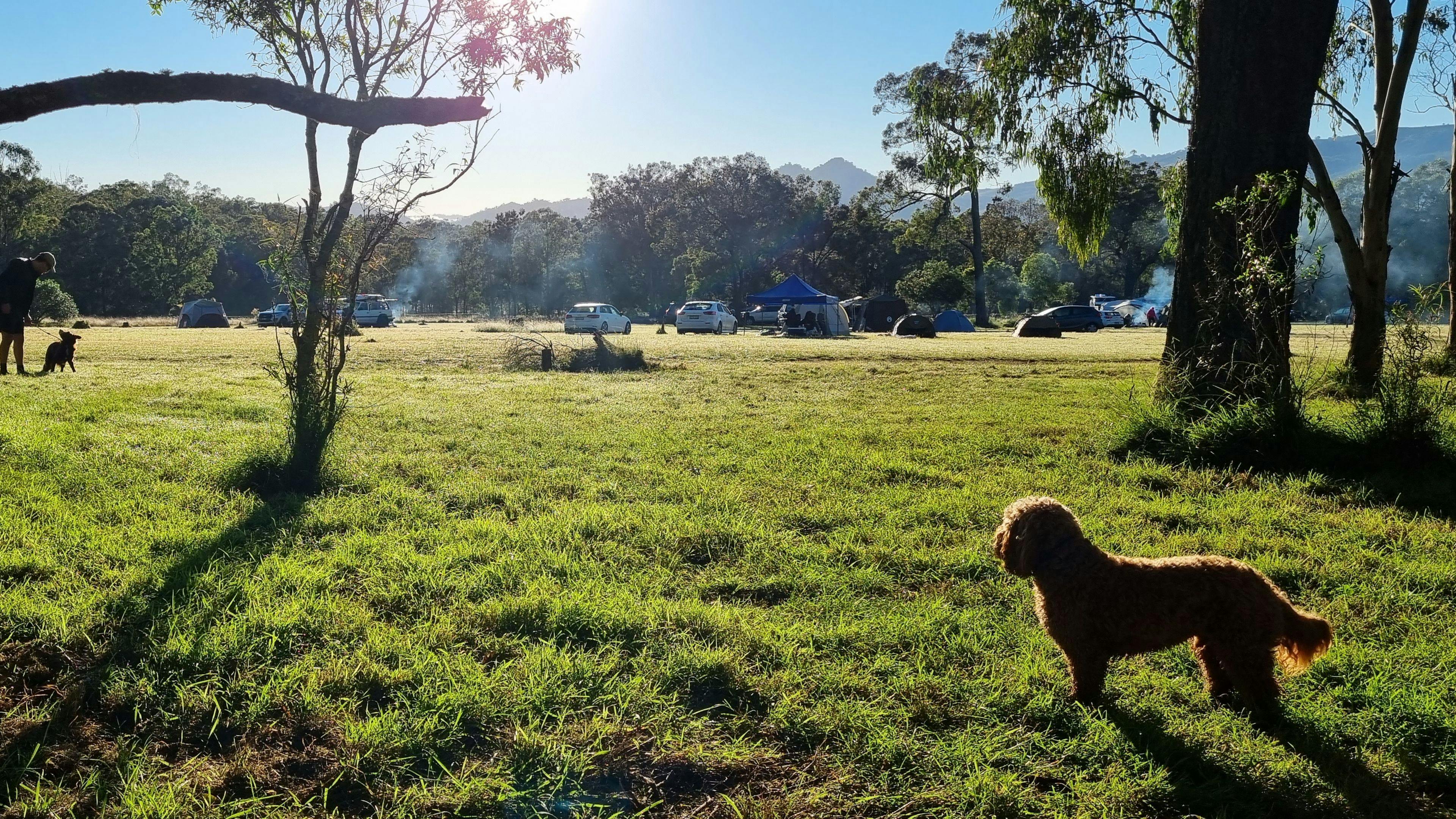 Maiden Jewel Camping Wingen