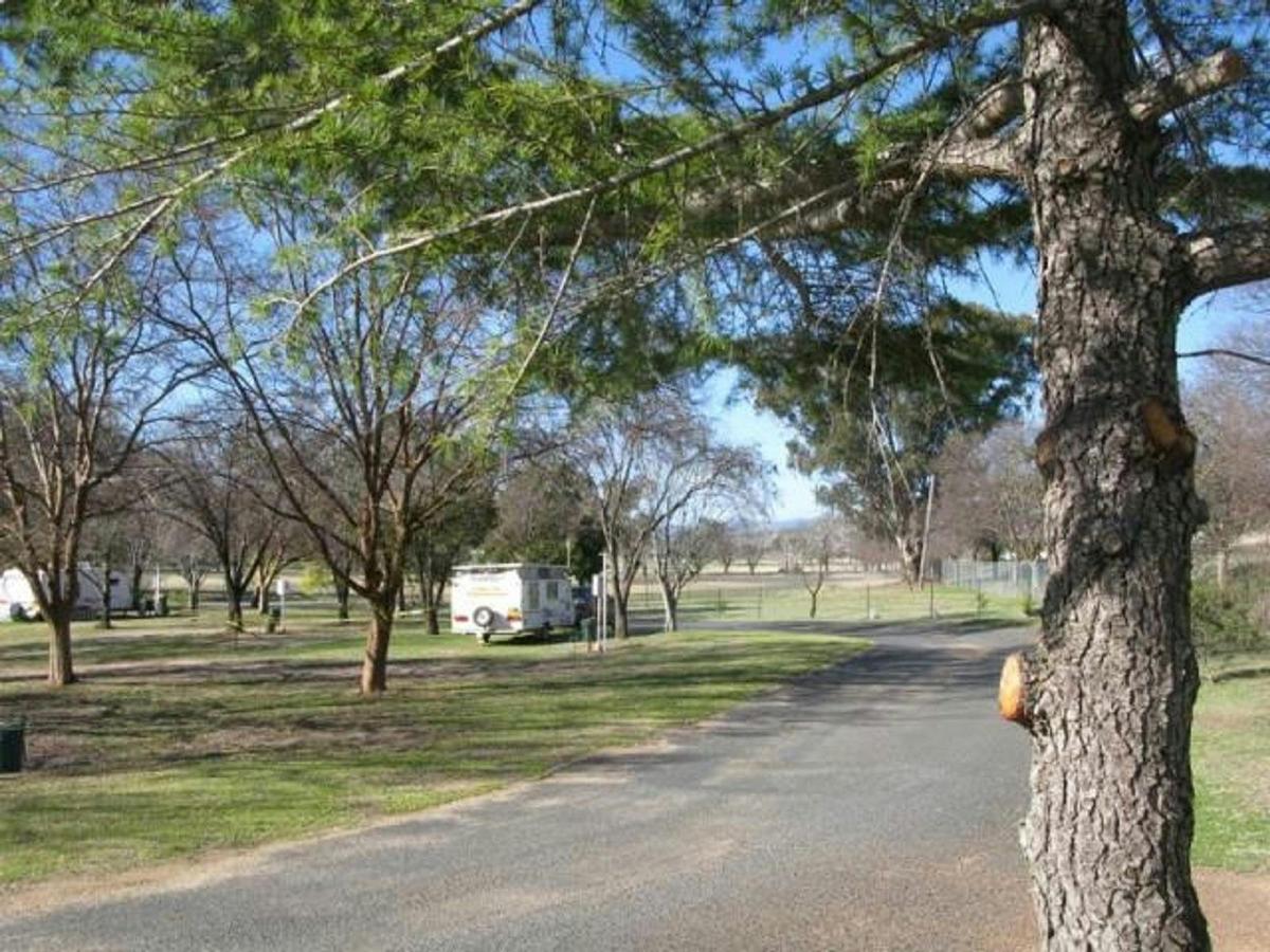 Trees and shade within the park for everyone