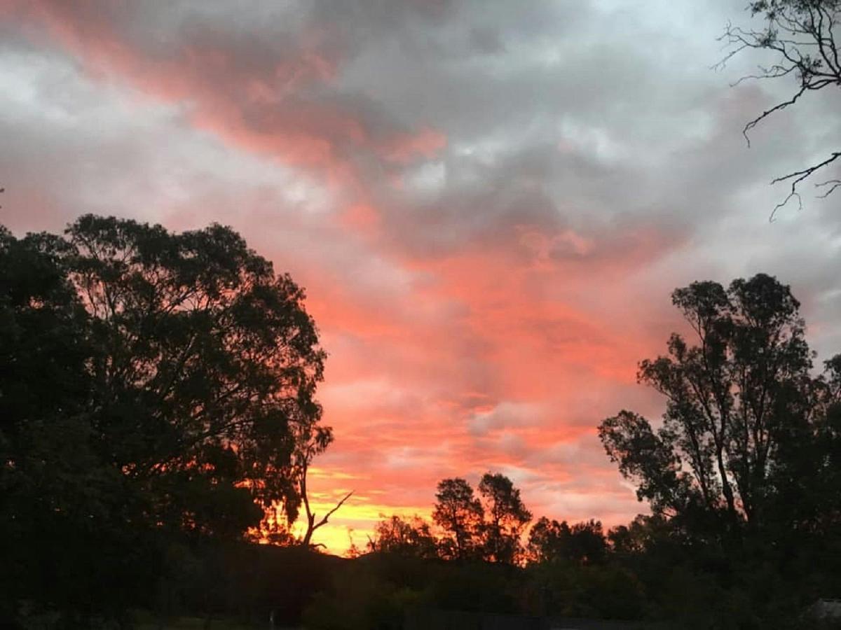 Manilla Rivergums caravan park autum sky