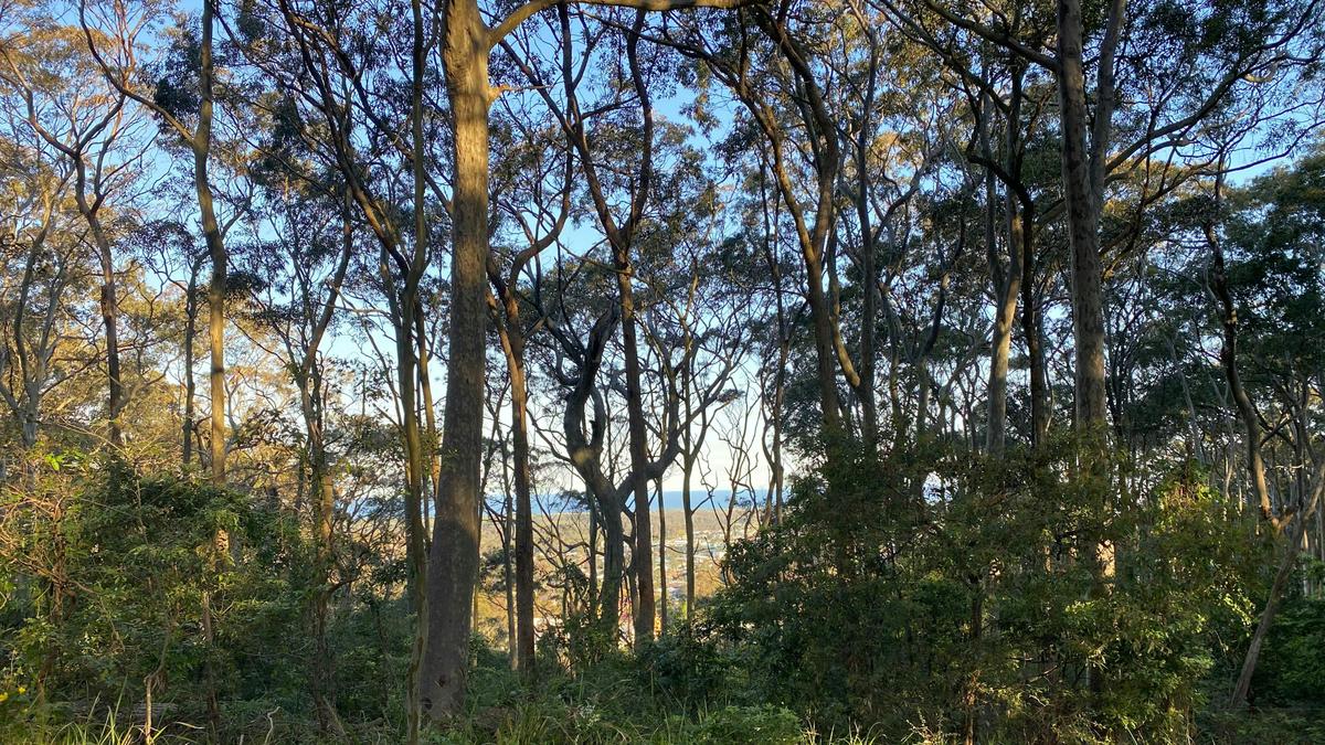Ocean views on parts of property not a campsite. 