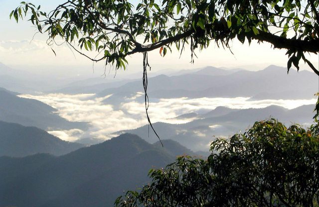 Eagles Nest Walking Track