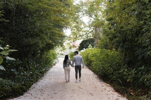 Koonawarra Driveway