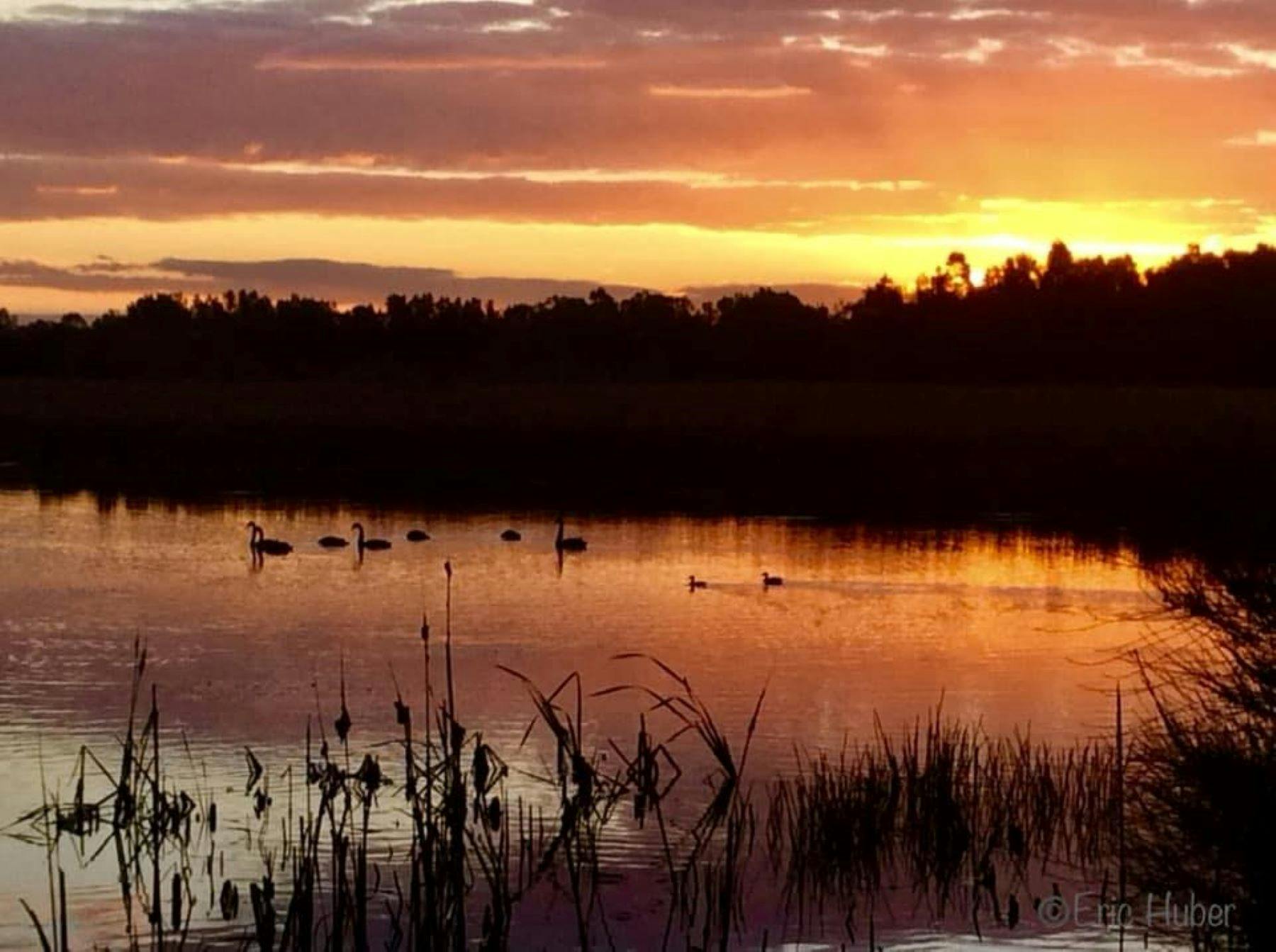 Earthcare Park - Tenambit