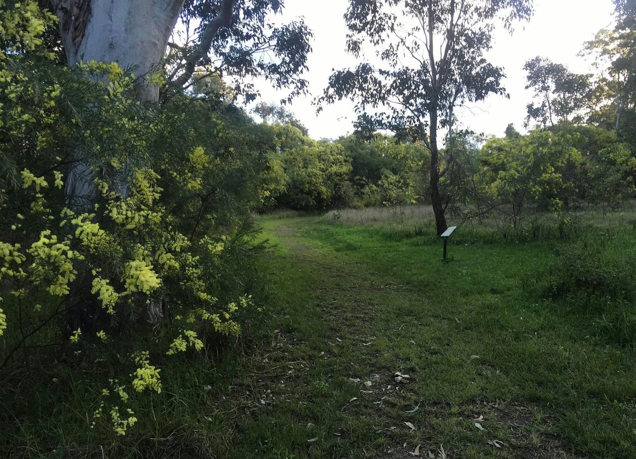 Earthcare Park - Tenambit