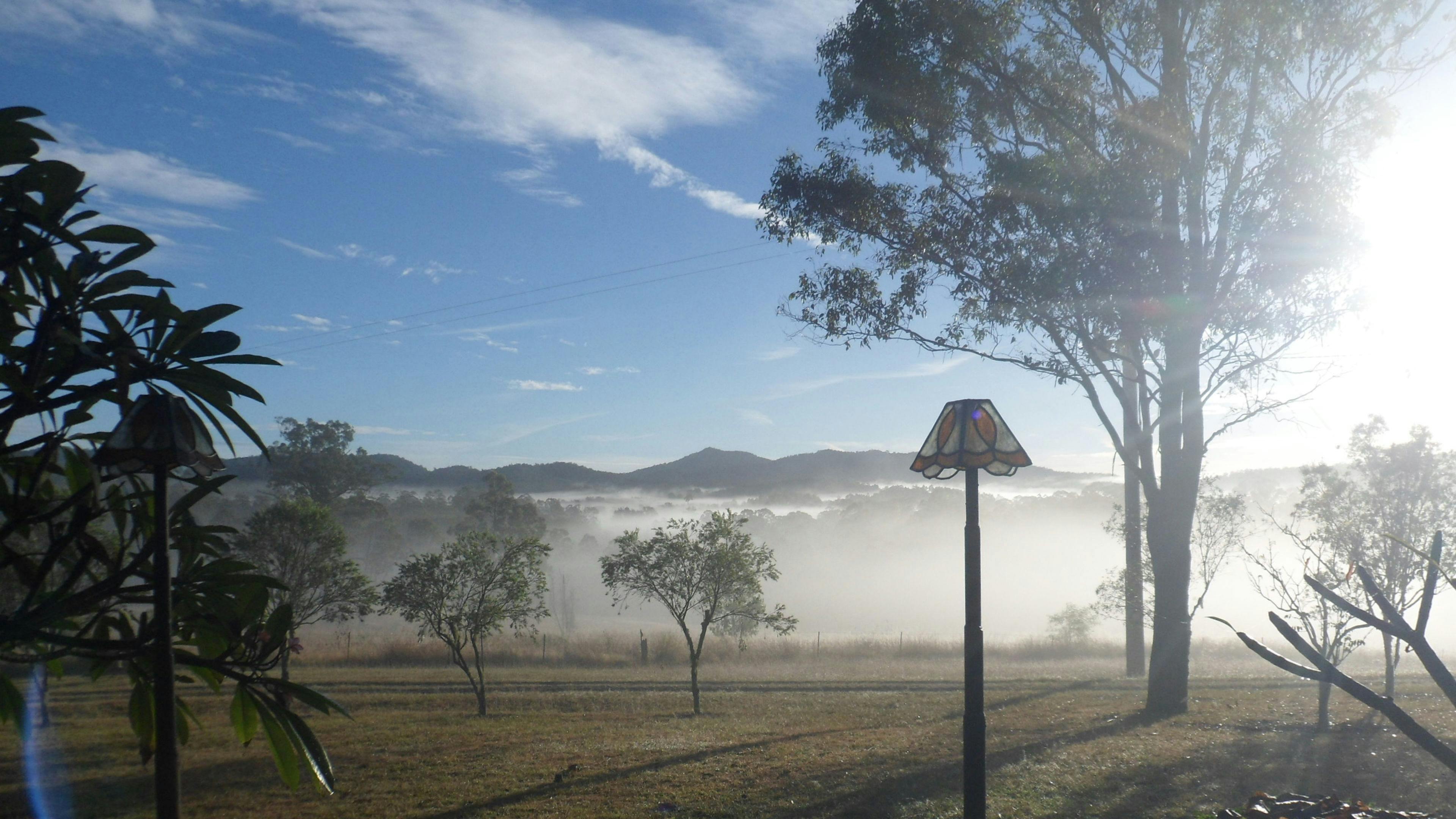 A misty morning looking north