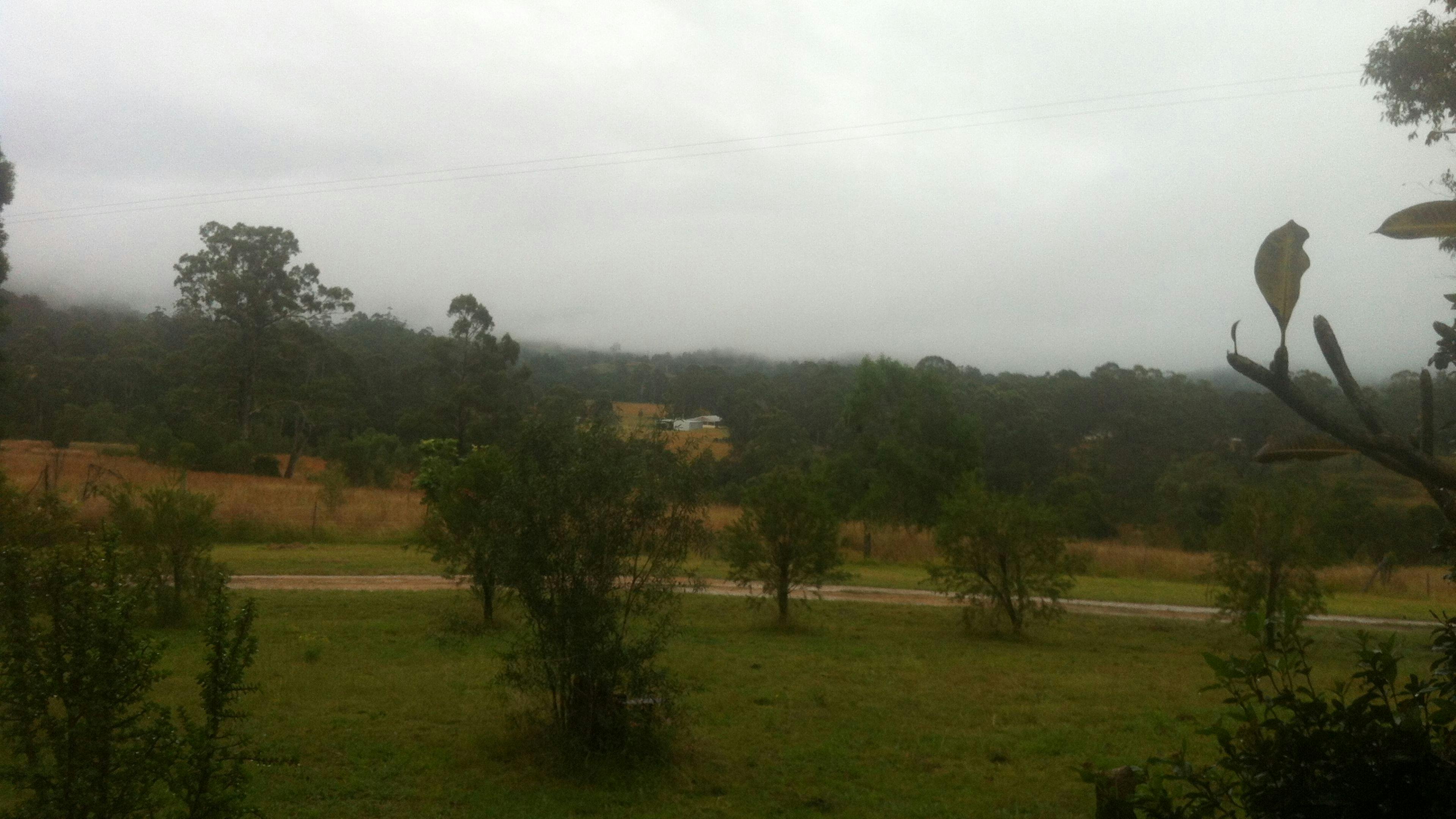 Mungay Mountain Views