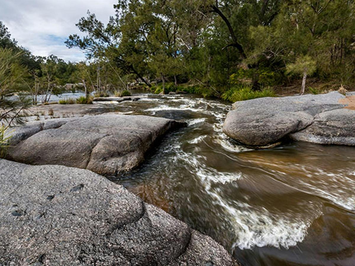 Mann River campground and picnic area, Mann River Nature Reserve. Photo: John Spencer © OEH