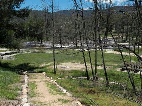 Mann River campground and picnic area, Mann River Nature Reserve. Photo credit: Leah Pippos &copy;