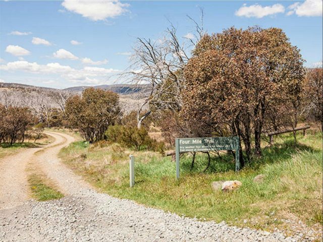 Four Mile Hut Walk