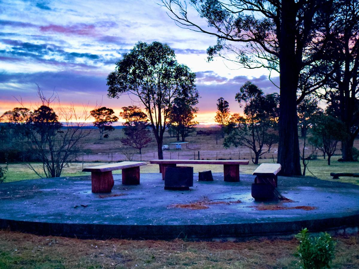 Fire Pit and Seating