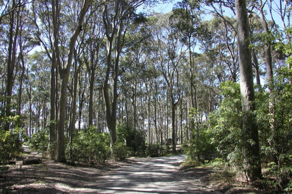 road