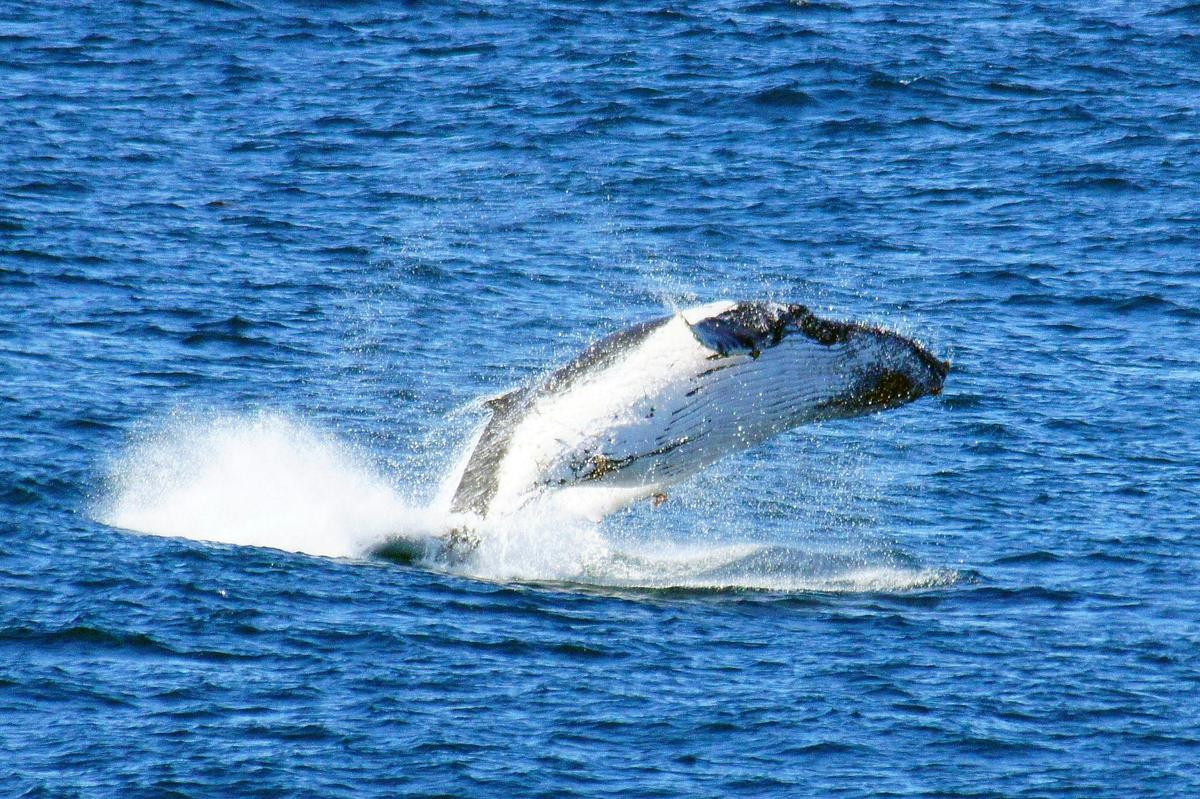 View from your apartment deck