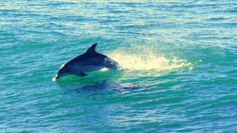 View from your private deck