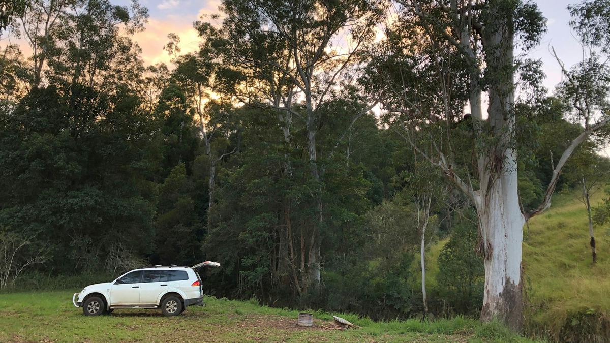 Levenvale Farm in Bellingen