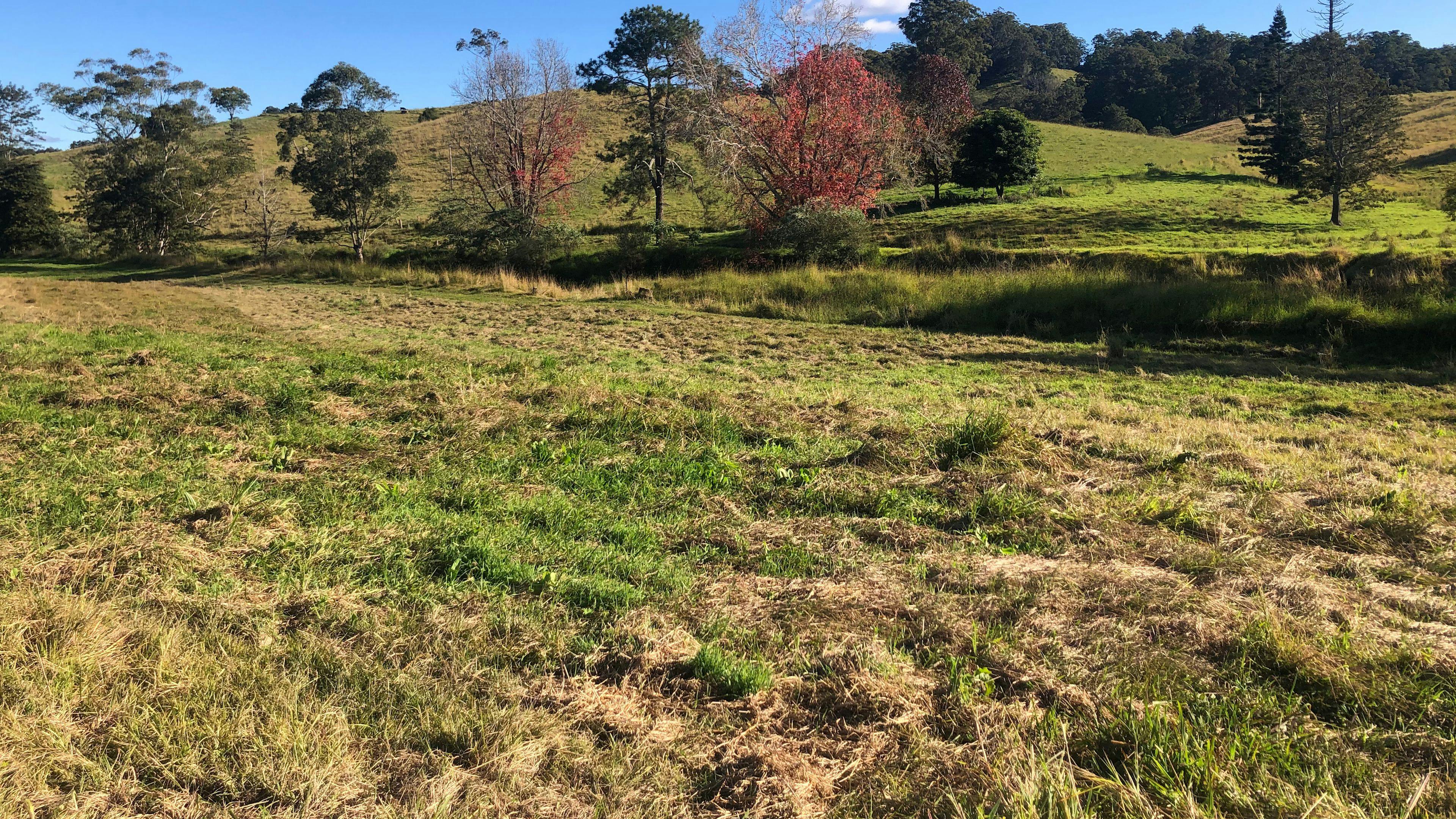 Levenvale Farm in Bellingen