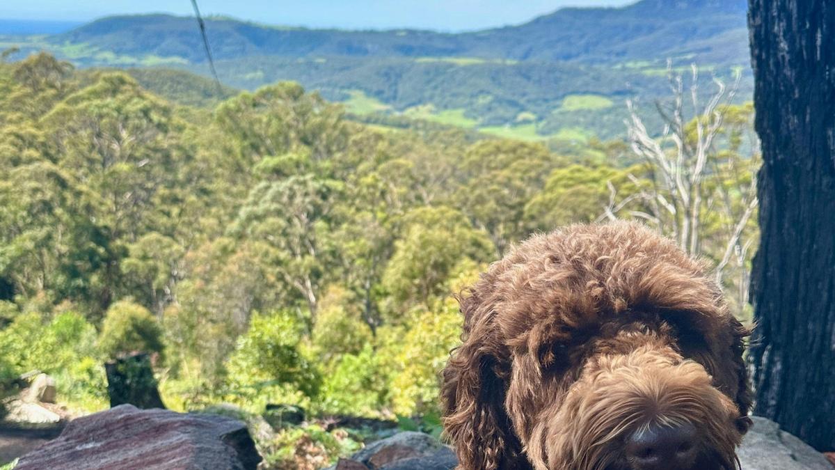 Mellows Ridge