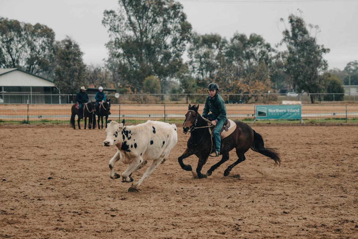 Narrabri Campdraft at showground