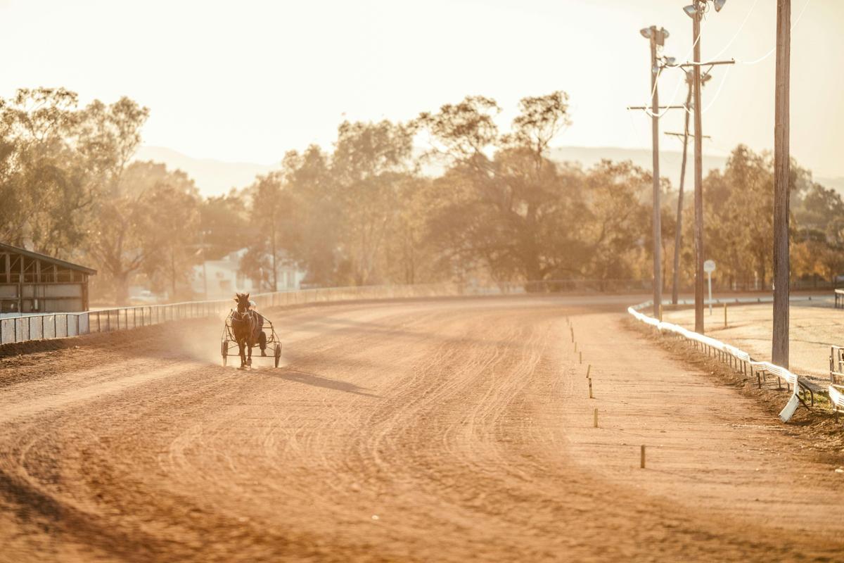 Horse on showground track
