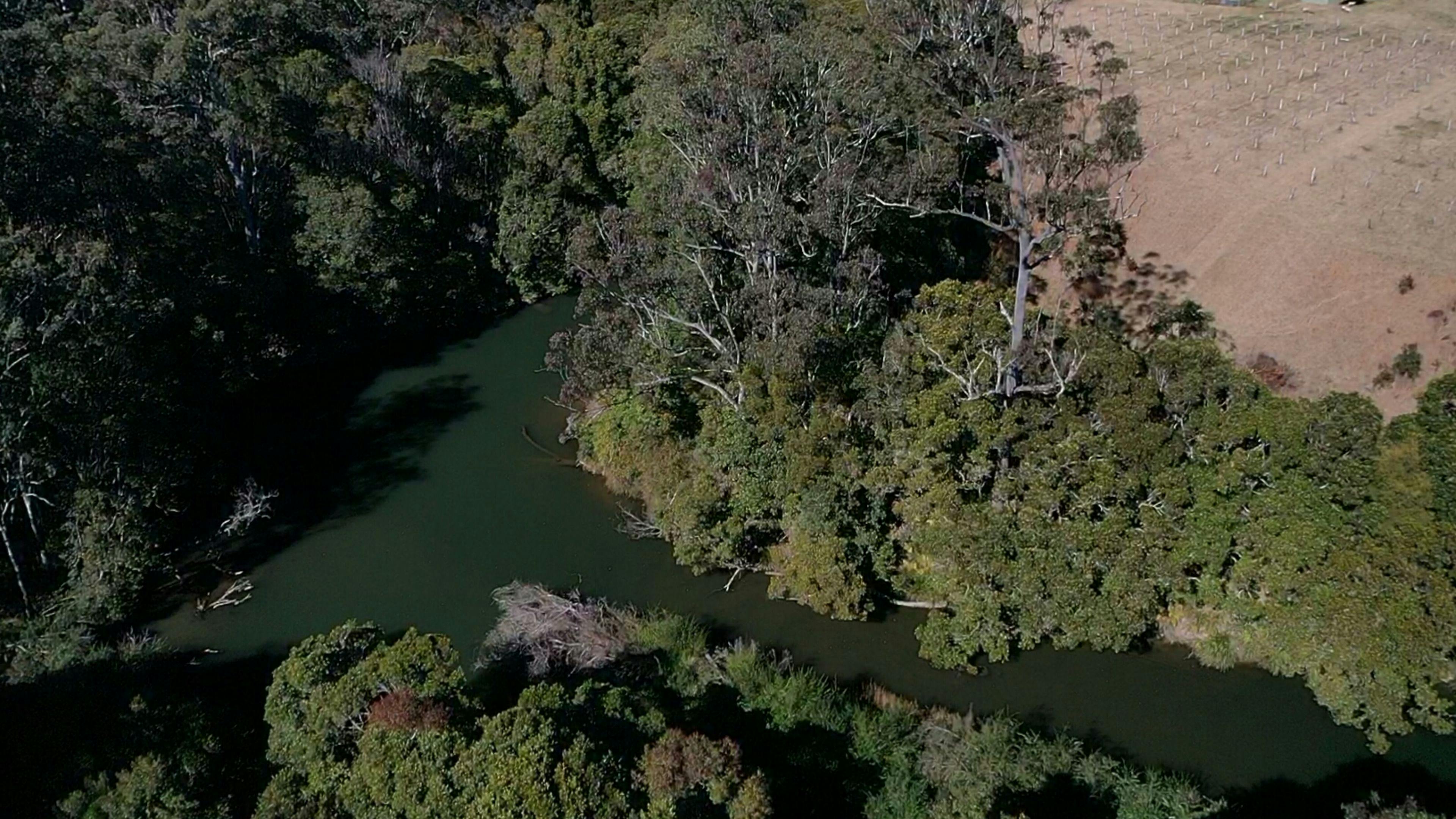 Little Plain Hall Grounds