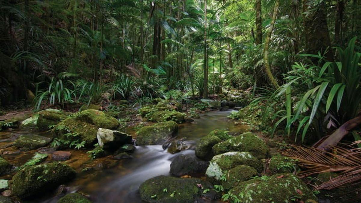 Lumeah By The Creek Near Waterfalls