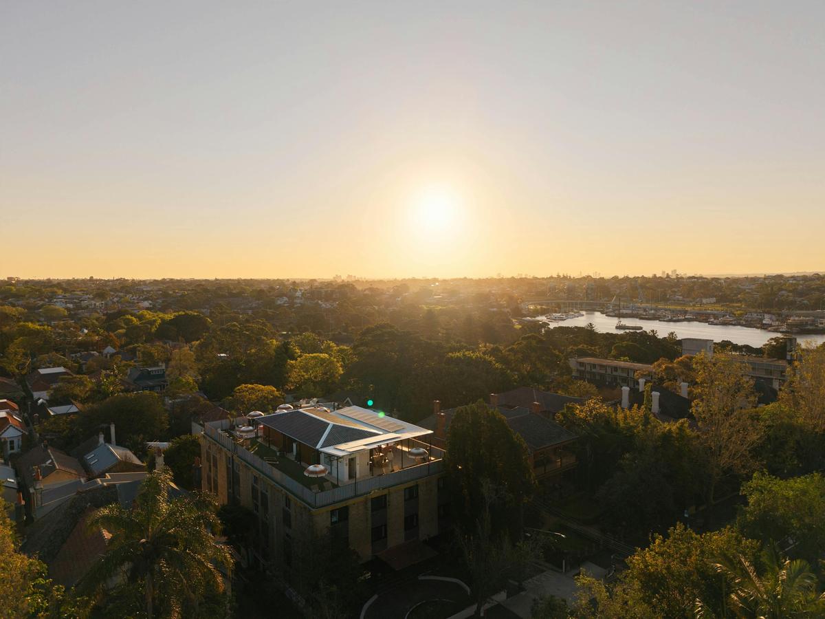 Little Drifter Glebe