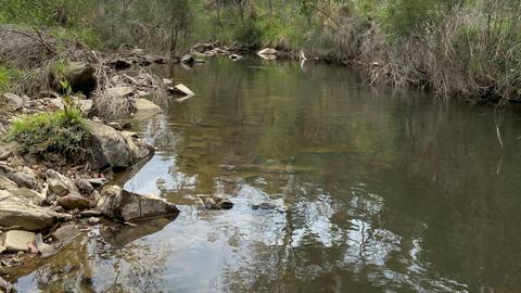 Ningee Gold Panning, Detecting