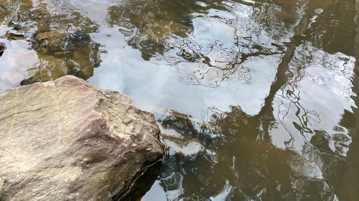 Ningee Gold Panning, Detecting
